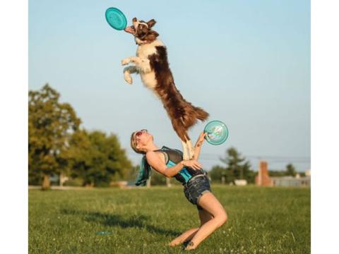 Dog jumping over girl with Frisbee