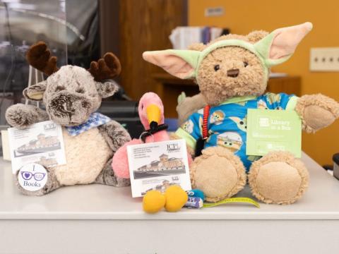 3 stuffed animals with library cards