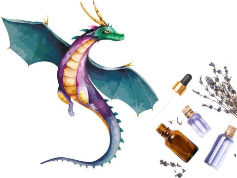 Dragon and essential oils