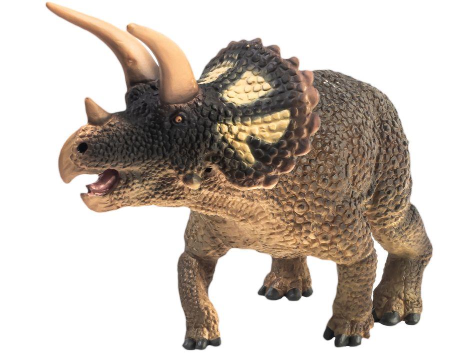 Triceratops